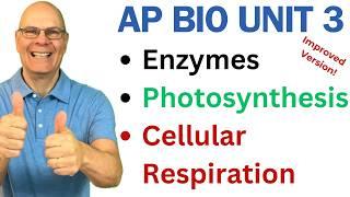 Crush AP Bio Unit 3! Enzymes, Photosynthesis and Respiration