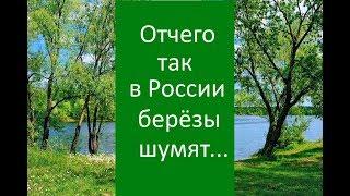 Отчего так в России берёзы шумят #отчеготаквроссииберёзышумят #Созданиевидео #МаргаритаЗемцова