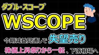 WSCOPE(ダブル・スコープ)一時ストップ安で株価下落。今期減益見通しで失望売りでどこまで株は下がる？