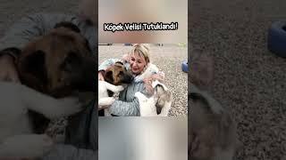 Köpek Velisi Buket Özgünlü Tutuklandı!