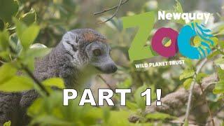 VISITING NEWQUAY ZOO - PART 1! (28 / 09 / 23)