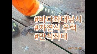 극한직업 - 바다좌대낚시 삼길포항 만석좌대 - 위급상황 도움이필요하면