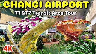 World's Best Changi Airport: Exploring Terminal 1 & 2 Transit Areas