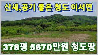 청도 산새 좋고 공기 좋은 주말농장 또는 묘터로 추천 드리는 청도땅 입니다 3020