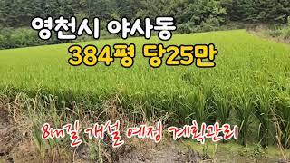 @no.622 #영천시 야사동 급매 투자적지 384평 9600만