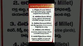 millet names in telugu and english|millet names in english#millets