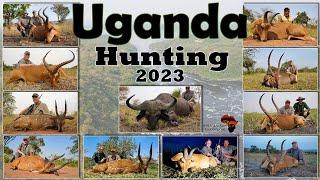 Hunting in Uganda - Buffalo and Plains game hunting in East Africa