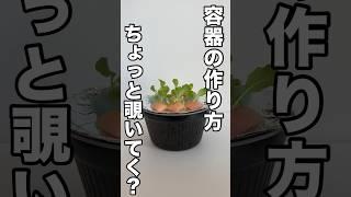 超簡単！捨てるはずだったゴミを水耕栽培の容器に大変身！【水耕栽培容器の作り方】#室内栽培#家庭菜園 #リーフレタス#水耕栽培 #主婦 #100均 #再利用#ゴミ#容器 #ローソン  #カップ麺