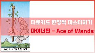 [타로강의] Ace카드, Ace of Wands