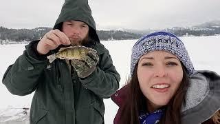 Ice Fishing   Hauser Lake ID