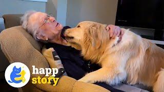 How Two Dogs Bring Joy to a 94-Year-Old Grandma's Life ️ | HAPP