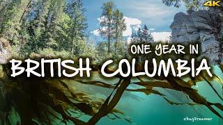 ONE YEAR IN BRITISH COLUMBIA  Drone, Scuba, Underwater Macro Photography, Wildlife Filmmaking 4K