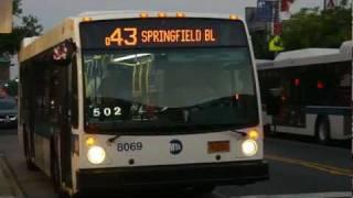 MTA New York City Bus 2011 NovaBus LFS 8069 On The Q43 @ Sutphin Blvd & Hillside Avenue