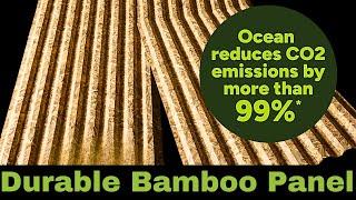 Solving the Global Housing Crisis for 1.6 Billion People with Bamboo Panels