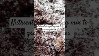 How to Make Nutrient-Rich Potting Mix (DIY Soil mix to grow vegetables and herbs)
