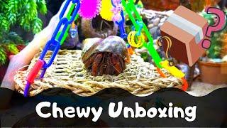 New Hermit Crab Supplies! - From Chewy.com | By Crab Central Station