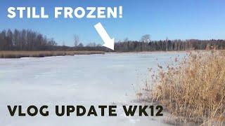 Latvian Homestead Week 12 - March Vlog Update