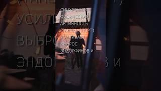 ПсихоФакт 490 – Танец эндорфинов – Изучая любовь – short #shorts