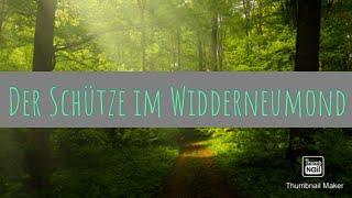 Der Schütze im Widderneumond ️️