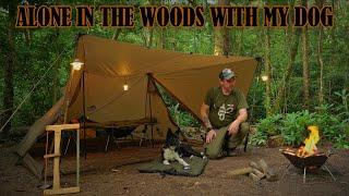 Camping ALONE with my dog DEEP in a wood using ONLY Onetigris gear