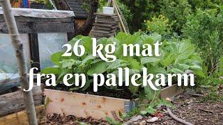 26 kg mat fra en pallekarm!