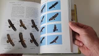 Ein Blick in 'Handbuch Vögel beobachten' (Kosmos Verlag)