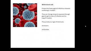 BTEC Applied Science: Unit 1 Biology Specialised Cells