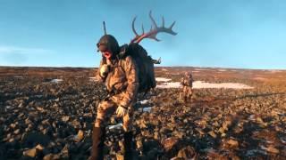 Golden Bear outfitters Hunting Mountain Goat Moose and Caribou