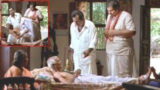 Brahmanandam Best Telugu Movie Hilarious Comedy Scene || Best Telugu Comedy Scene || Volga Video