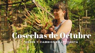 Cosechas de Octubre | Cambios y Orden en la Huerta