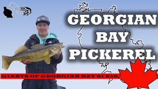 How To Fish For Monster Walleye Fishing Ontario (Pickerel) - Giants of Georgian Bay S1E16