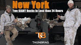 New York Deer Hunting: 2 GIANT Bucks in Less than 24 Hours