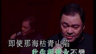 張偉文丨風雲丨箏胡弦情金曲夜演唱會