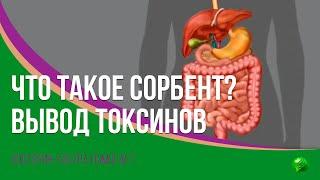 Что такое СОРБЕНТ. Вывод токсинов из организма.