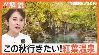 楽しむコツは「ぬる湯」と「透明」　この秋行きたい！温泉ライターおすすめの“紅葉温泉”【Nスタ解説】｜TBS NEWS DIG