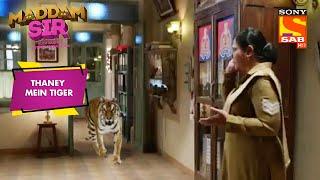 Pushpa जी हो गई हैं बंद Tiger के साथ | Maddam Sir | Thaney Mein Tiger