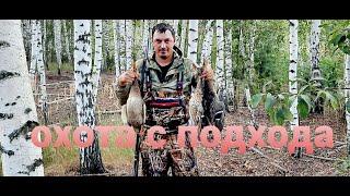 ОХОТА С ПОДХОДА НА УТКУ И ВЕЧЕРКА . ИСТОРИЯ ОДНОГО ДНЯ .