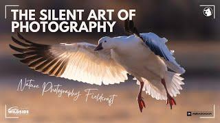 The Silent Art of Photography - Nature Photography Fieldcraft