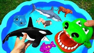 Wild Animal and Sea Animal Toys - Learn Animal Names #31