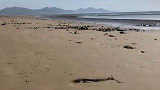 Walk around Caernarfon North Wales -  Dinas Dinlle. Stunning Coastal Walk for all.