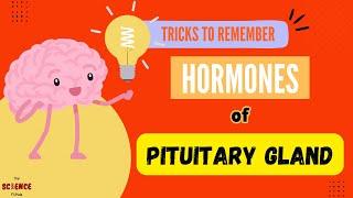 Memorize Pituitary Hormones in Minutes: Easy Tricks to Remember | Biology | The Science Funda