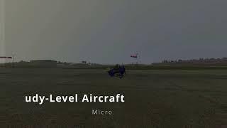 Study Level Aircraft in Microsoft Flight Simulator