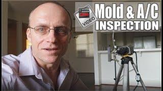 Mold and A/C Inspection