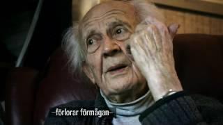 The Swedish Theory of Love - Zygmunt Bauman