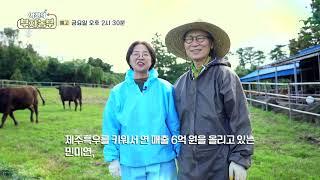 [역전의부자농부 332회 예고] 제주 흑우 농장 운영으로 연 매출 6억 원! 제주 민미연 부자농부