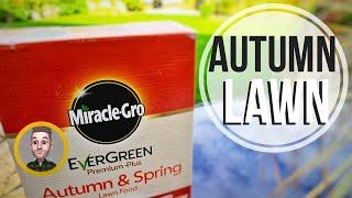 October Lawncare Calendar Tips // Winterize, Moss, Aeration