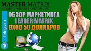 Бизнес проект Telegram Master Маркетинг Leader Matrix Вход 50 долларов