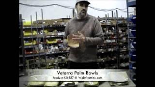 Verterra Palm Bowls