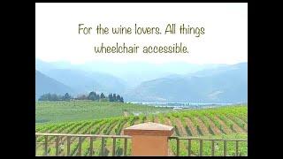 Do you like, love wine and vineyards? Come and see! Accessible travel exploration.