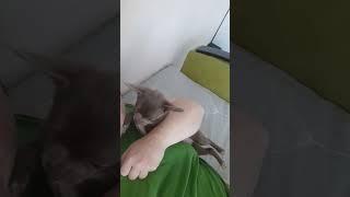 Милка и мама!